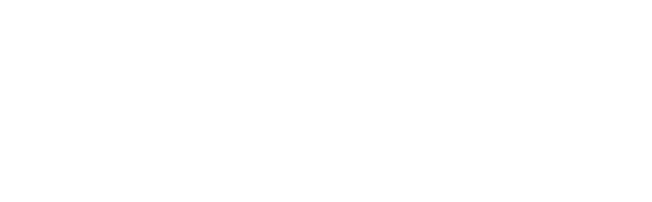 Shiny Wilds Casino